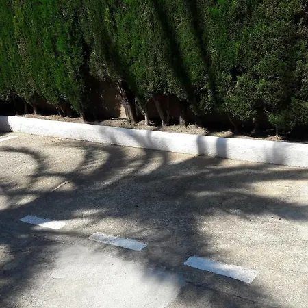 El Palmeral